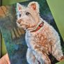 Westi West Highland terrier - original oil painting Image 7