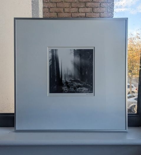 Andreas Stridsberg Art Framed Pictures (Set of 2)