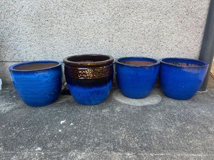 Plant Pots