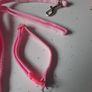 pink paw print collar and lead Image 2