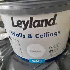 10 litre paint