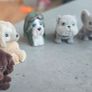 9 x Bundle Vintage Flocked Puppy Kitty Jungle in my Pocket some HTF 90s Image 3