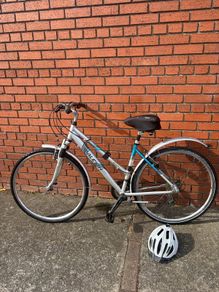 raleigh bike