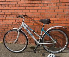 raleigh bike