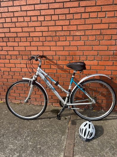 raleigh bike