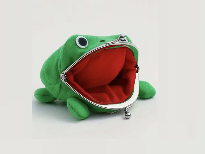 Frog Purse