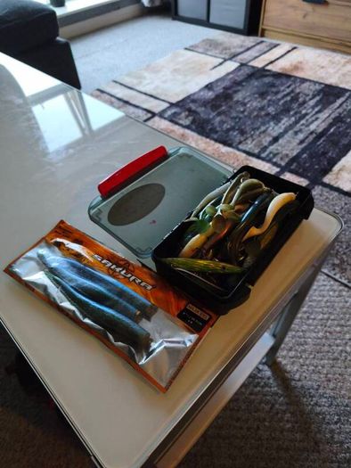 bass lures