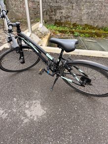 adults bike