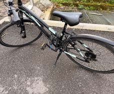 adults bike