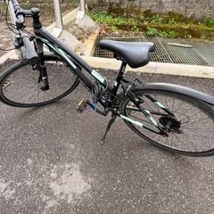 adults bike