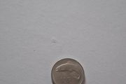 2000 Irish 10p