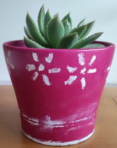 Succulent