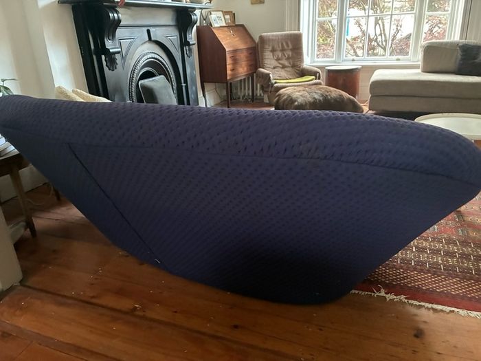 Linge Roset ploum sofa