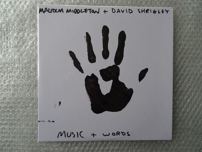 Art on vinyl sleeve by David Shrigley (Painting not print)