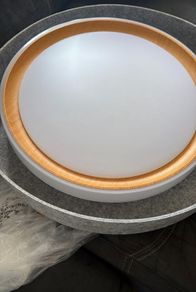 Modern LED Ceiling Light