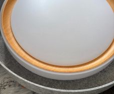 Modern LED Ceiling Light