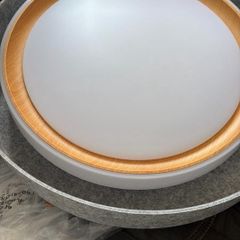 Modern LED Ceiling Light