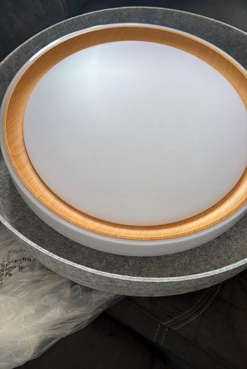 Modern LED Ceiling Light