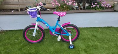 Kids Poly bike