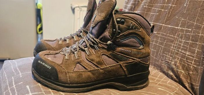 Mammut Teton GTX hiking boots