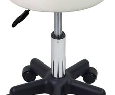 Round Rolling Stool with Wheels Height Adjustable Stool Spa Stool for Salon Massage Home Kitchen White