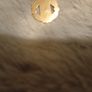 Gold pendant Manchester United Image 7