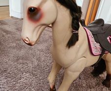 our generation horse