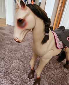our generation horse