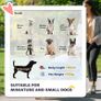 Pet Stroller for Small Miniature Dogs, Cats, Foldable Travel Carriage with Wheels Zipper Entry, Cup Holder, Storage Basket - Grey Image 4