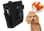 Professional Dog Training Treat Bag