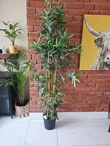 artificial plant