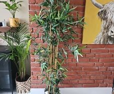 artificial plant
