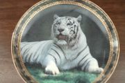 Tiger plate