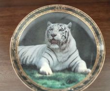 Tiger plate