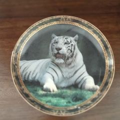 Tiger plate