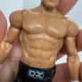 wwe Dolph Ziggler action figure Image 8