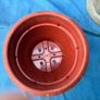 2 weathered plastic flower pots Image 8