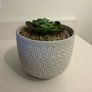Fake plant and pot Image 6