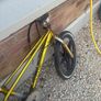 bmx kids Image 3