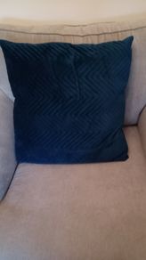 Blue velvet Cushions x 2