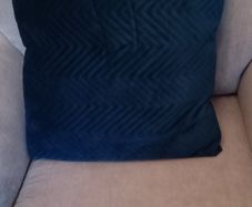 Blue velvet Cushions x 2
