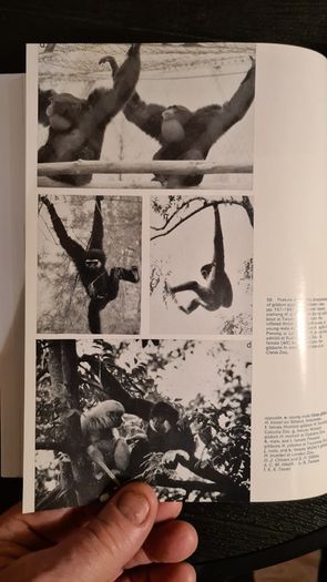 International Zoo Yearbook Volume 18. Edited By P. J. S. Olney. Published By The Zoological Society Of London. First Edition. Hardback With Dustjacket In Very Good Condition.