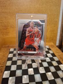 Dennis Rodman (free Postage)
