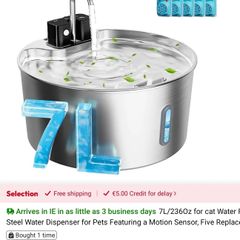 Dog drinking fountain