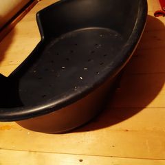dog bed