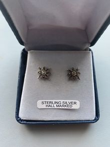 Sterling Silver Earring