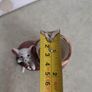 Toothpick Holder, Vintage Mouse in Boot Toothpick, Toothpick Holders,Vintage Toothpick Holders, Mouse in Boot Japan, Made in Japan Toothpick Image 4