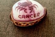 Cancer Zodiac Shell - Polished Decorative Piece