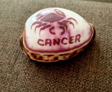 Cancer Zodiac Shell - Polished Decorative Piece