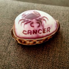 Cancer Zodiac Shell - Polished Decorative Piece
